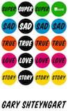 Buchcover Shteyngart Super Sad True Love Story
