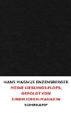 Enzensberger, Hans Magnus: Meine Lieblings-Flops